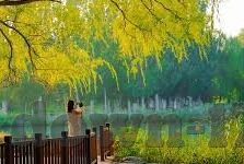 成人夜间视频-成人夜间视频，网络文化中的隐秘角落
