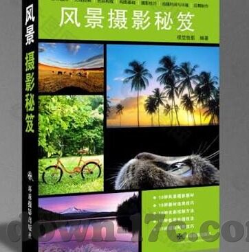 伦理小说-伦理小说的深度探索，人性与道德的交织画卷