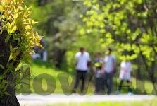 麻豆av无码蜜臀av-探寻网络内容界限，一种对网络文化的审视