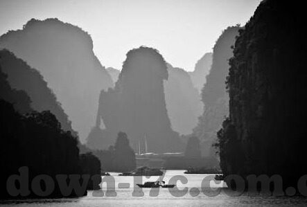麻豆文化传媒入口-览尽风华，麻豆文化传媒入口之旅