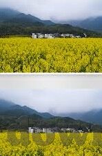 免费的麻豆视频-探索多媒体现象，免费麻豆视频的背后