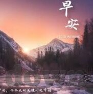 哪个网站可以看成人视频-探索成人内容观看的合法途径，明智选择与安全浏览