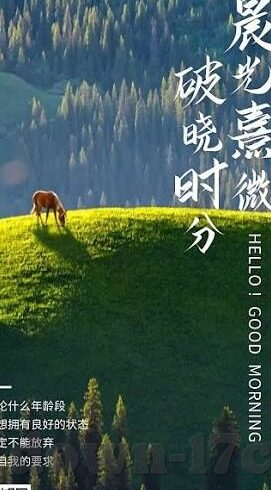 糖心app旧版本下载-复古情怀与经典再现，糖心app旧版本探索之旅