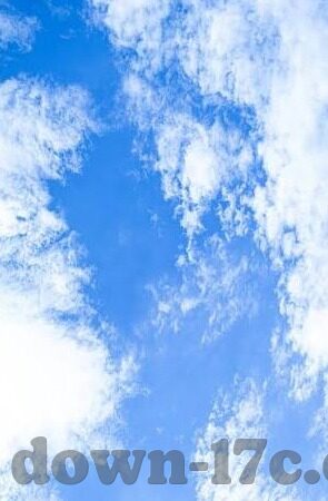 云麻豆app-探析云麻豆app的赋能与影响力，景深、用户行为、以及趋势分析